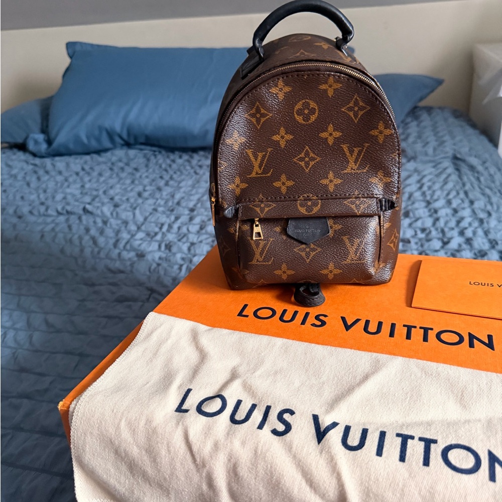 Louis Vuitton Monogram Canvas Palm Springs Mini